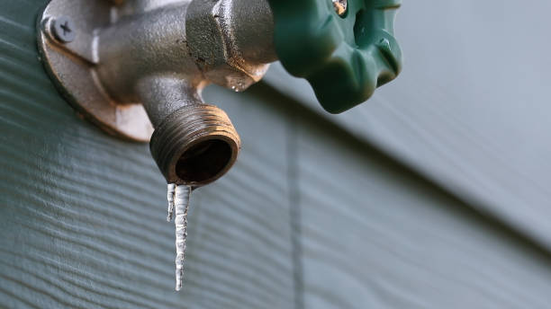 Best Sewer Line Repair  in Thatcher, AZ